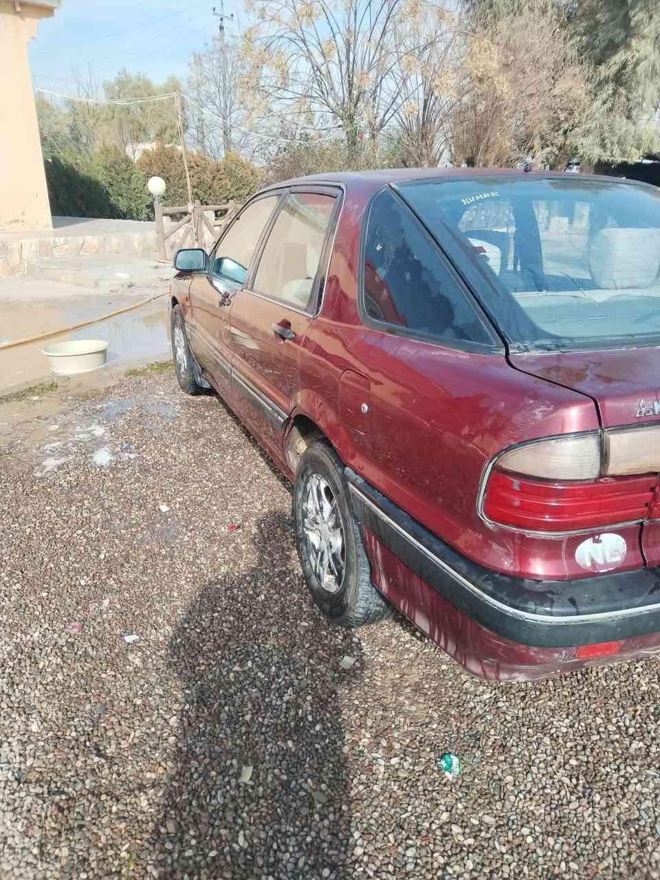 مستبوشي
رقم الماني 
سنويه خضره صاقطه
رقم نينو 
***********
