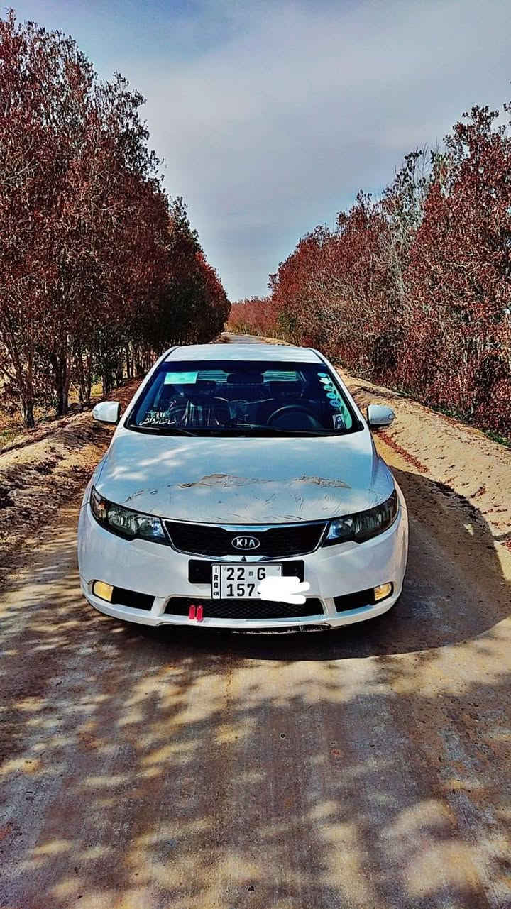 السلام عليكم.   للبيع كيا. سيراتو.   م 2010
أربيل.   تحويل.  مباشر.     شرط تحويل

محرك.  1600.    خليجي.    فول مواصفات 
صبغ.  جاملغ فقط      والباقي كفاله عامه 

كير.      محرك.   صدر.    تبريد 
جاهزه من كلشي.    شرط الفحص. 

منضومه زنون.وبعد هواي شغلات ماذاكرهن 
سياره. احله من الصور. شرط. 

مكاني.   النجف   
السعر. 105.   $$. وبي مجال.  للطيبين
***********  رقم هاتف.
