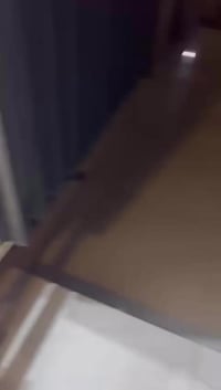 بيت زراعي • ١٠٠م • بانزين خانه بن نافع