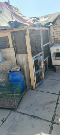 قفص • عرض ٢٠٠ • ارتفاع ١٩٠