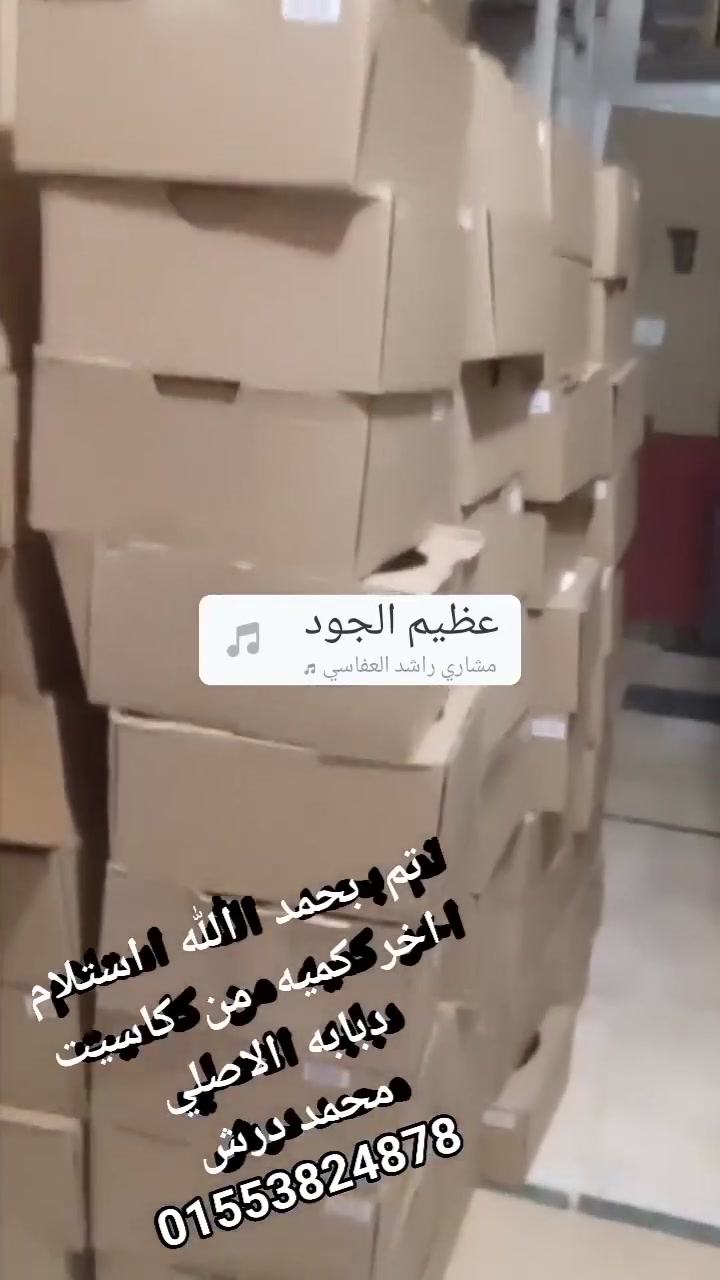 #ما_شاء_الله_ولا_قوة_الا_بالله  
 استلمنا   أنهارده  اخر كميه   من كاسيت   الدبابه 
ومتاح البيع  جملة وقطاعي 
التواصل  واتس
محمد درش 
01553824878

#متاح_حاليا_قطاعي_وتجاري
#كاسييت_شيفروليه_دبابه_بلوتوث_حل #زيروووو_موديل_2027

كاسيت  مش  شاشه   الاصلي  توكيل 

السعر  في  متناول  الجميع    وارخص من اي  حد  والكميات   كتيير 

في خصم  كبيير   جداااا  
 السعر    مفاجاءه   احنا  غييرنا   السعر   علشان   الناس كلها تركب  كاسيت  
  اتصل    اعرف  السعر  وسيبك  من المكتوب

01553824878


**إذا كنت صاحب هذا الإعلان وتريد حذفه لأي سبب، رجاءا أرسل رسالة إلى الدعم الفني**
