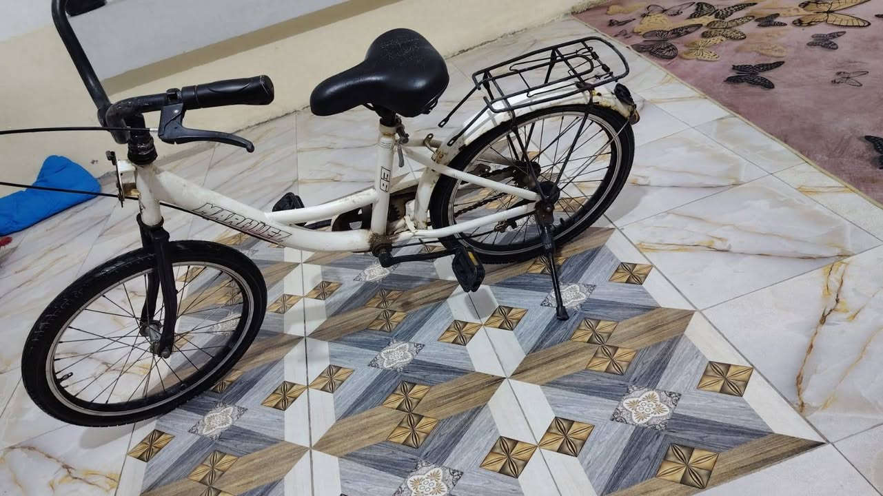 باسكل حجم ٢٠ نظيف مابي اي شي


**إذا كنت صاحب هذا الإعلان وتريد حذفه لأي سبب، رجاءا أرسل رسالة إلى الدعم الفني**