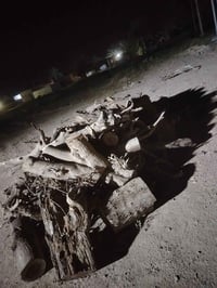 حطب يابس • ٤ كيات