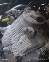 ماكس منغولي ياباني • قابلة تفاوض • بابل الحمزة الغربي