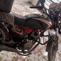 شاينك • مكفوله • ٢٣