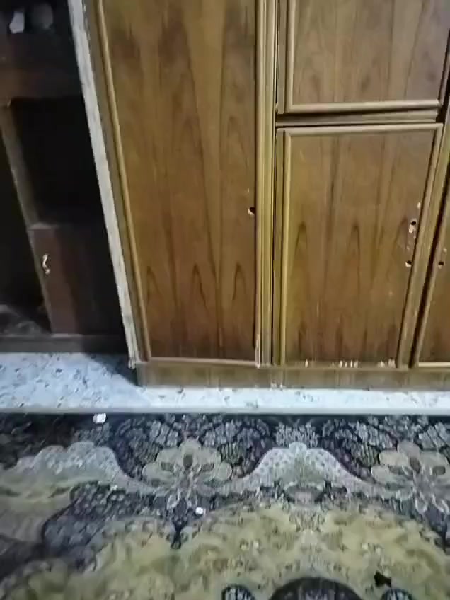 كنتور للبيع ١٠٠٢٥ وبيه مجال


**إذا كنت صاحب هذا الإعلان وتريد حذفه لأي سبب، رجاءا أرسل رسالة إلى الدعم الفني**