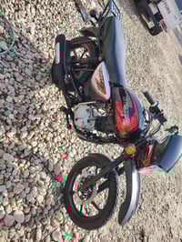 بوكسر جبلي • 2021 • نضيف وكفالة