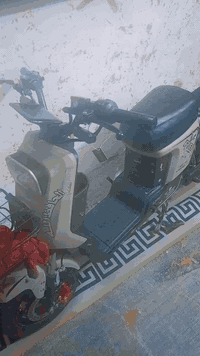 سلام عليكم 🫡
بايسكل شحن للبيع آر 8 جديد نظيف مكفول من كلشي شاحنته موجوده مرايته موجوده الي يحب يتواصل وياي واتساب 
على هذا رقم ❤️***********
