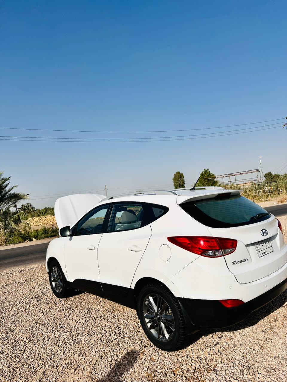 توسان خليجي 2014
ماشية 160
مكاني بابل 
للاستفسار 

‭0771 197 9983‬
