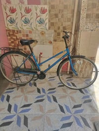 باسكل • مقاس ٢٧ • دينمه شغاله