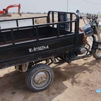 ستوتة • ام تي ار • موديل ١٩