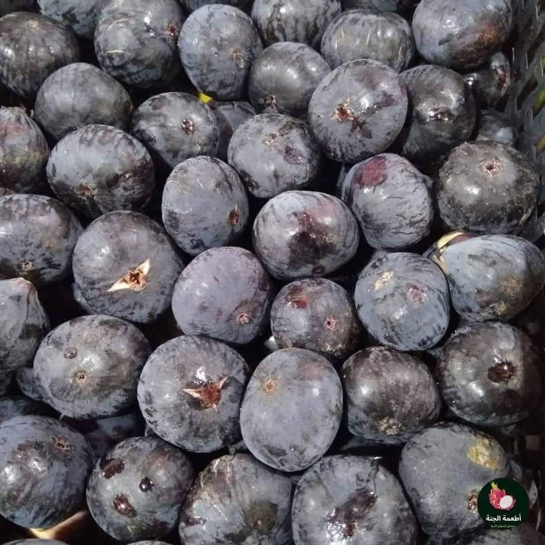 عرض خاص ✌️ #شي_على_شي_يم_مشتل _نور _الهدى _أرخص _ شي 
#مشتل_نور_الهدى  **يرحب بكم**.
السعر 2500 فقط 
تين اصفر / تين اسود 
  اسماعيل. *********** 
احمد.     *********** 
العنوان محافظة الانبار- حديثة صعدة الحي العسكري 
مقابل سالم للادوات الاحتياطية / ومجاور فلس ونص
