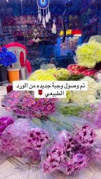 ورد طبيعي • بوكيهات • توصيل