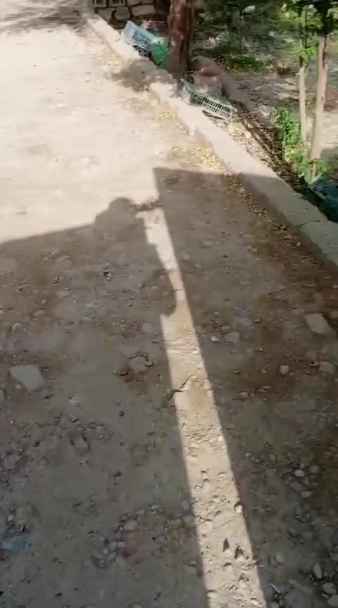 بيت للبيع مناسب مساحة 600 كارظيه البيظاء الأولى
للاستفسار 

***********
***********
