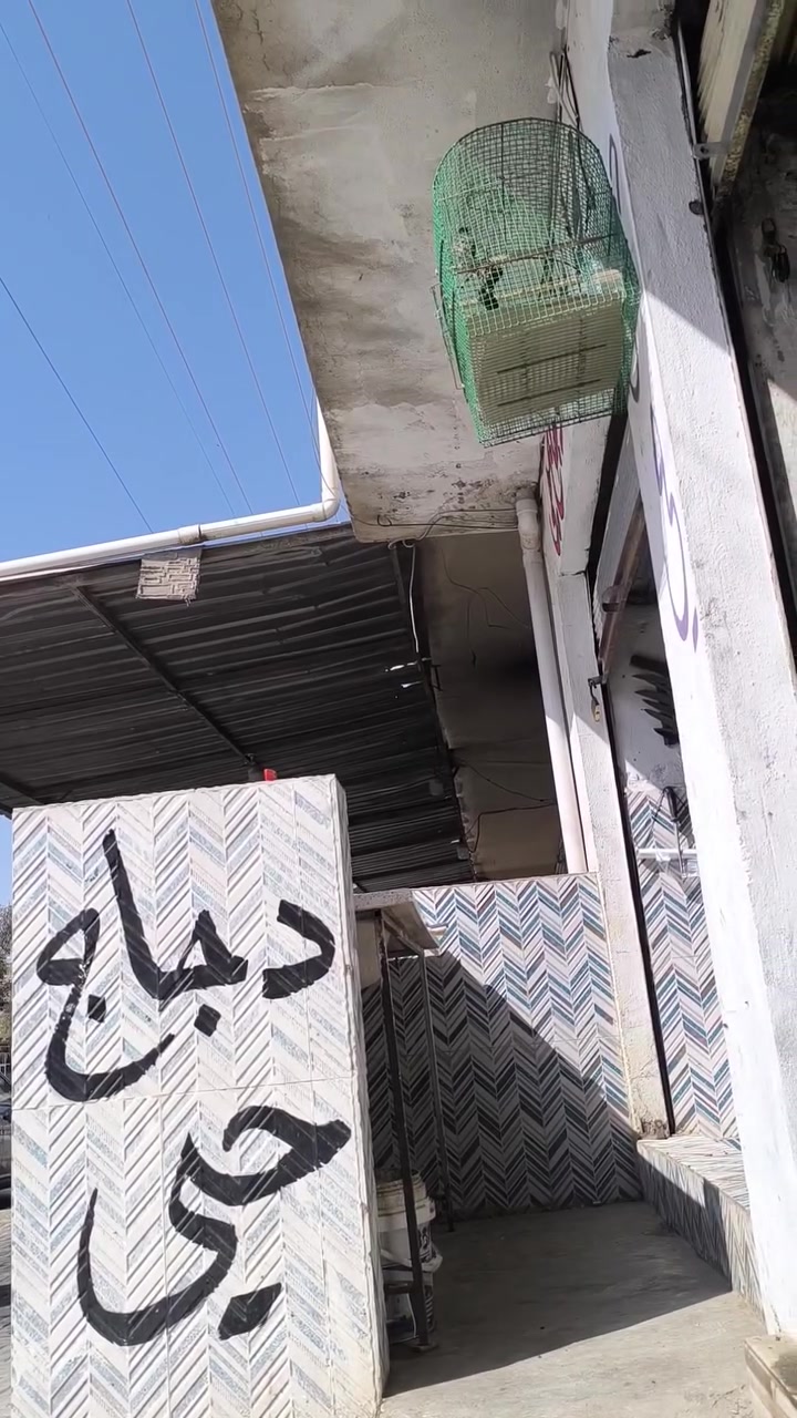 س.ع متاح بلبل جالس يقرأ بالوجه وياكل من الايد عمره سنتين شرط الصحه والتغريد وضخامه كمل الفيديو بي لسانات حلوه سعره 50 وبي مجال بسيط للشراي العنوان سايدين حسابات مقابل حديقة خيال 
***********
