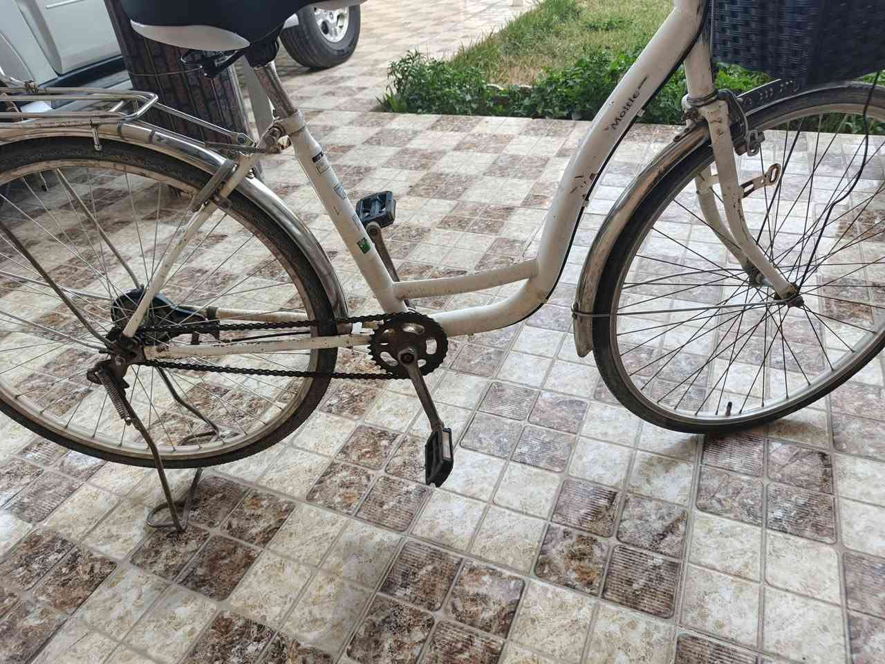 بايسكل للبيع حجم 26 مابيه شي بس صوت بالصجمات, السعر ب٤٥ وبيه مجال, المكان الديوانية - مركز المحافظة
الشراي يجي خاص


**إذا كنت صاحب هذا الإعلان وتريد حذفه لأي سبب، رجاءا أرسل رسالة إلى الدعم الفني**