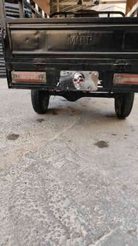 ستوته • موديل 15 • نجف المحجر