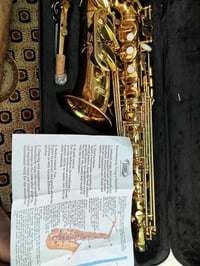 ساكسفون ألتو • مطلي ذهب • مبتدئين