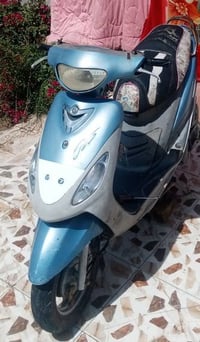 ماكس منغولي • ٤٩ بلادي • نضيف