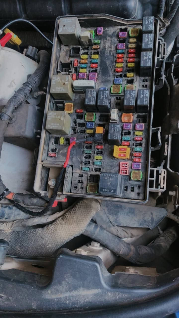 تم العمل على جيب لاريدو
تم اضافه ساب بقوه 250ارمس باله🔥💪🏻

وتم اضافه زوج سماعات بايونير بيضوي داخل بوكسات

مع اضافه امبلي فاير اوديو ماكس لتغشيل سماعات والساب

مع اضافه كيبل 6 كيج وفيوز 50 آمبير ونتيجه امامكم

مكاني بغداد طالبيه بنزله جسر مال فلكه 83 بشارع مستشفى ابن البلدي الزهراوي شغلي ب بيت ويوجد توصيل كافه انحاء العراق مع ضمان 

***********
