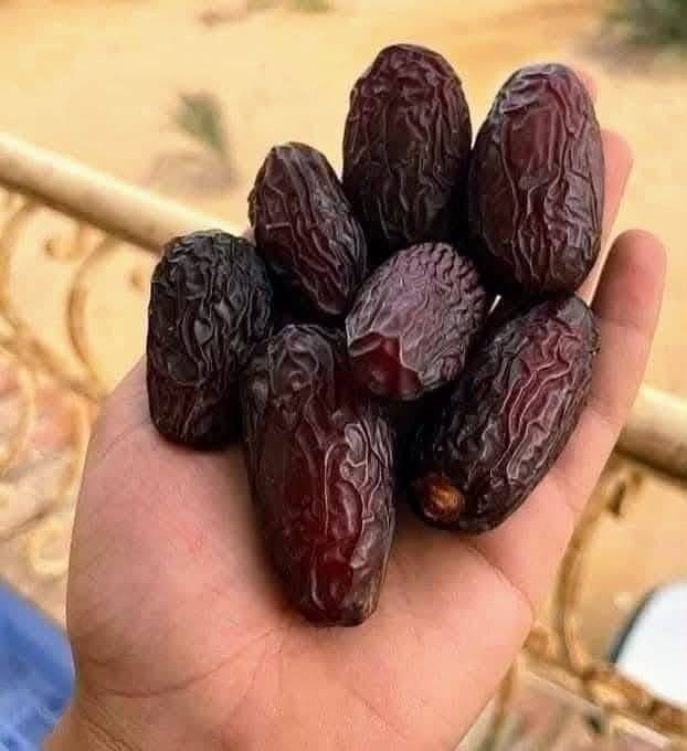متوفر فسائل برحي ومجهول العدد 20 فسيله سعر 125 مكاني كربلاء للتواصل هاذه رقمي ***********//***********
