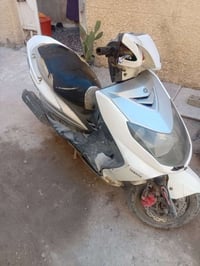 سكنس فحل للبيع نكره سلف تجي شغل وتروح السعر ٤٠٠ وبيها مجال  0781393766...