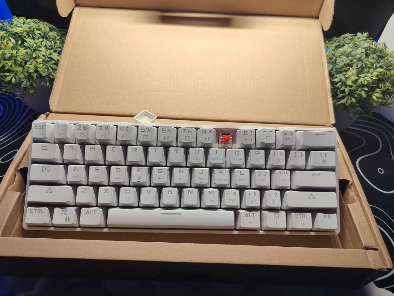 السلام عليكم 🤍
كيبورد كيمينك ميكانيكي ريد سويج لون ابيض اضاءة RGB🟥🟦 سعر 30 الف ✅
اضاءة شاشة ليد مثل الموجود ب صورة ع الشاشة سعر 25 الف ✅✅
مسند يد ماوس+كيبورد قطعتين لون اسود ع شكل غيوم ☁ سعر 10 فقط✅✅
ملاحظة: الاغراض غير مستعملة ابداً مكاني نجف/عباسية


**إذا كنت صاحب هذا الإعلان وتريد حذفه لأي سبب، رجاءا أرسل رسالة إلى الدعم الفني**