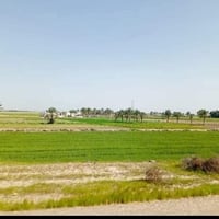 عندي 2 للبيع او المراوس المكان بغداد جسر الفرنسي منطقه كرغوليه بشارع  ...