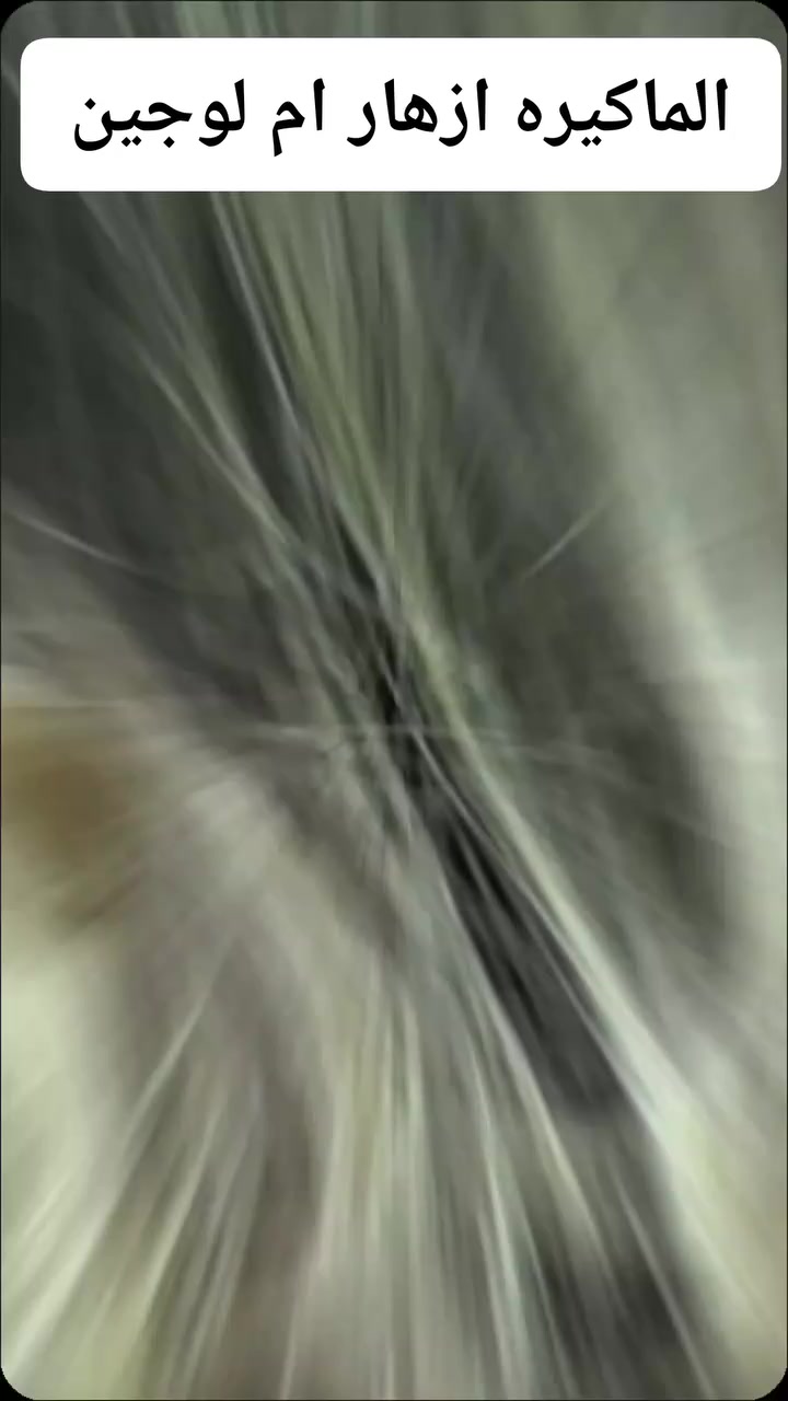 ميش شعر حب طلب زبوناتي 😍😍
ملاحضه الصالون مفتح من 10 صباحاً عروض  ماكيره ازهار ام لوجين للعيد 
عرض جميع انواع التاتو بدال ال35الف  ب 25 الف
توريد شفه دائمي بدل ال25الف صار ب20الف  وتحديد شفه فقط صار ب 10 الف وتنضيف بشره ب10 الف حفافه مع شمع 10 الف 
ميش الشعر القصير 20 الف للكتف30 الف نص الضهر 40الف اما الشعر الطويل  بعد المعاينه كص شعر 5 الف فقط
العنوان بغداد » محموديه⬅️ صالون ازهار ام لجين قابل فرقه 17 
» ادمن نبا«


**إذا كنت صاحب هذا الإعلان وتريد حذفه لأي سبب، رجاءا أرسل رسالة إلى الدعم الفني**