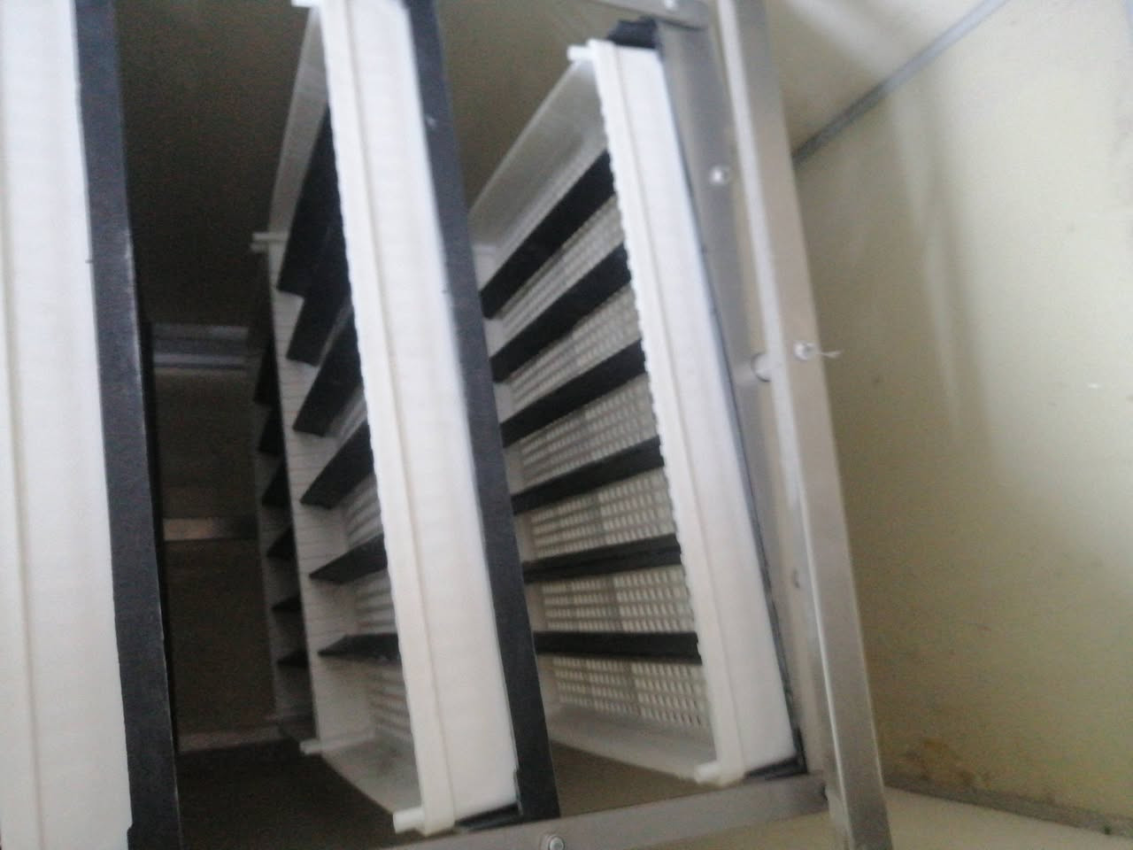 اللهم صلي على محمد وآل محمد
اي واحد عنده بيض يريد يفقسه  يتفضل خاص او واتساب *********** مكاني طارميه فقاساتي جيموكه افضل فقاسه بل سوك نسبت تفقيسها 100٪100 شوف تفقيسهن بعينك إذا بيضك قديم لا تجيبه وذا ما متئكد منه مخصب لا تجيبه لين ما اتحمل مسئوليته الدفع عند تسليم البيض يعني مو وره التفقيس
الي يحب يفقس يتفضل حياه الله
الله يرزق الجميع ❤️🌹
