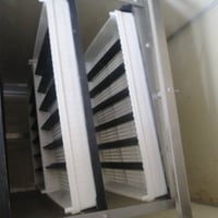 طارميه • بيض للتفقيس • تفقيس 100٪