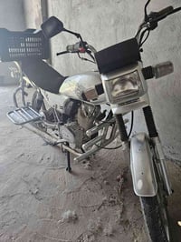 فيوم • جديدة • شغال