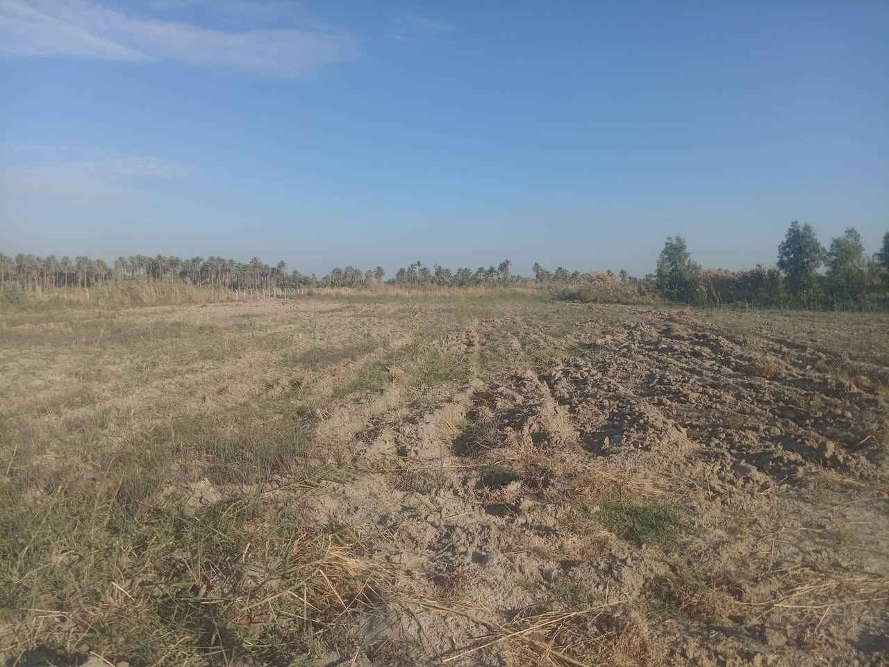 السلام عليكم بسم الله الرحمن الرحيم توجد لدينا أرض للبيع المساحة 7دوانم الجنس أصلاح زراعي أرض جدا جميله وتصلح ألى المستثمرين تصلح حقول أبقار وتصلح بحيرات اسماك وتصلح حقول دجاج وتصلح نخيل البرحي ألارض مباشر على الشط ٨٠متر واجهيه كلها على الشط متوفره كافة الخدمات مأء اساله وكهرباء وشارع ١٠متر سبيس قيد الانشاء الموقع بابل الحمزه الغربي خيكان قرب الدولي الجديد للاستفسار الاتصال على الرقم التالي
*********** او مراسلة الصفحه خاص
***********
