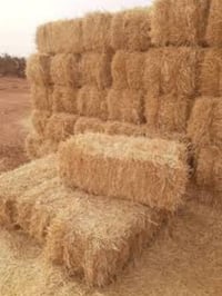 تبن مال السنة • ٥٠٠ كبسه • الدولي الجسر السابع