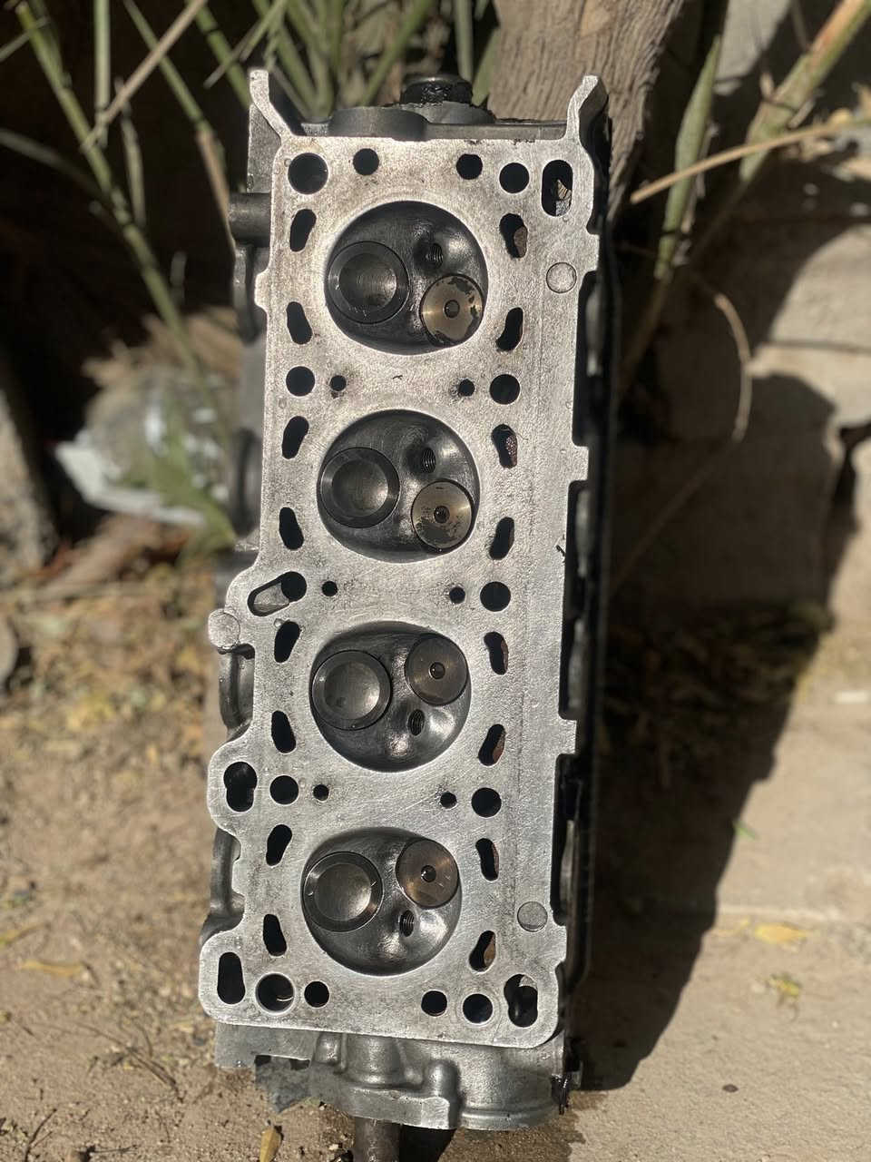 السلام عليكم يوجد نص محرك سايبا
ويوجد كاور سايبا من ٢٠١٨الى ٢٠٢٦
المحرك رنك ياباني وستوه مجفت بس بي بوشه مشخوطه شخط ناعم كلش والكور جاهز للشغل الك ضمان التشغيل سعر المحرك ١٥٠وبي مجال 
سعر الكور ١٥٠وبي مجال واذا تاخذهن ثنينهن بيهن مجال
مكاني كربلاء فريحة المحرك والكور شرط ايراني اليجي وياها ما ملعوب بيهن الكور مبدله ولفات مؤسسة وما ناقصه شي 
***********
