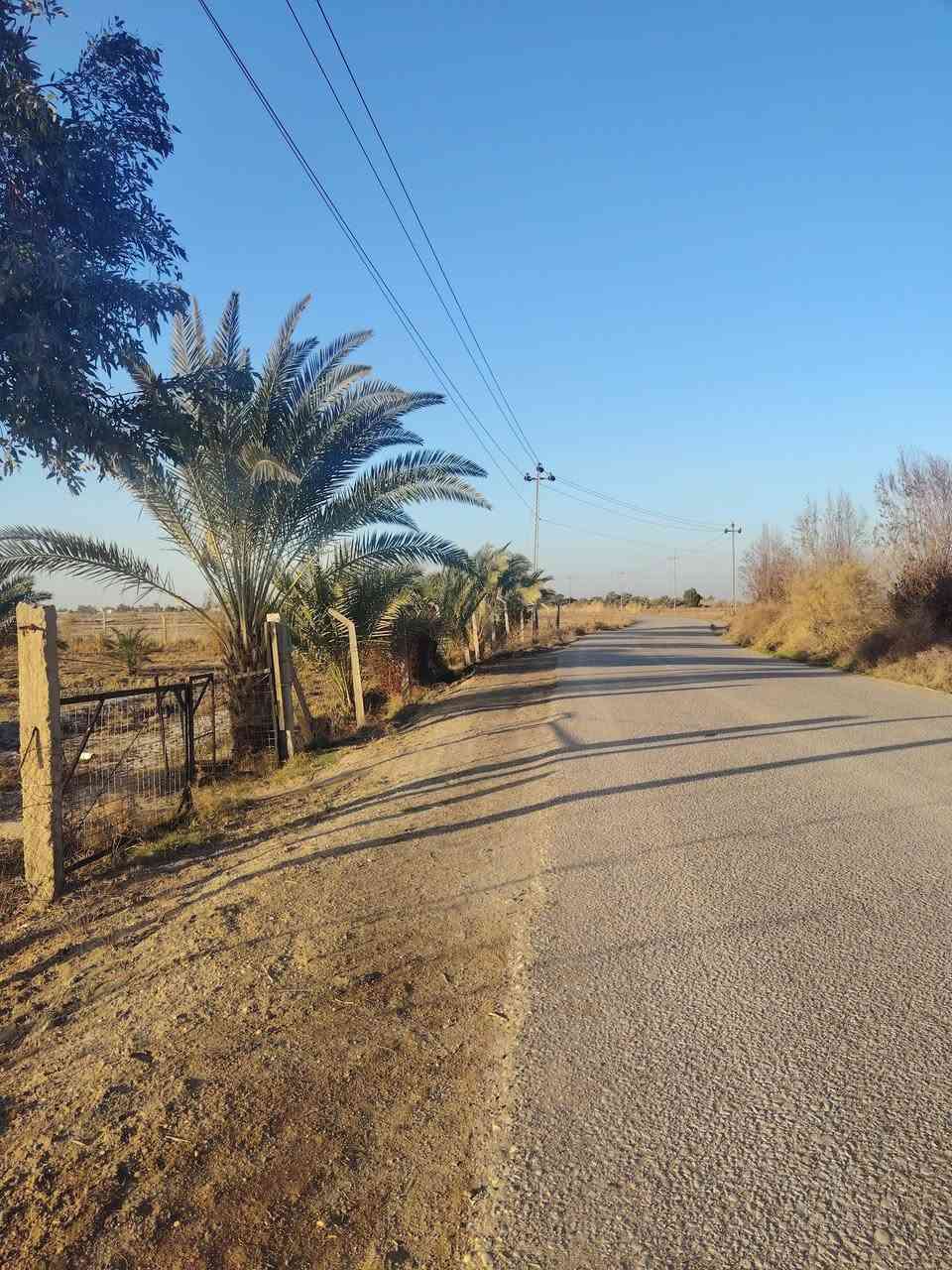 السلام عليكم
للبيع ارض زراعية مساحة ٣ دونم مسيجة بشبك على شارع تبليط 
يتوفر بيهة كل الخدمات ماء كهرباء بيهة  تحتوي علئ ٤٠ نخلة  نوعية جيدة تبعد عن مركز ال بوزامل الصحي ١٠٠ متر
المكان ذي قار قضاء النصر قرية ال بوزامل
للاستفسار الاتصال على الرقم ***********
