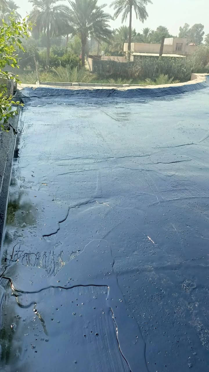 سكله المنكوشي البيع الكير الدرجه الاولى في محافظة كربلاء اتصال على رقام تاليه *********** 📞📞///
