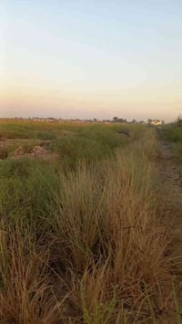 للبيع  3دوانم المدائن الجعارة طابو  زراعي سند 25  الواججهه92 م والنزال...