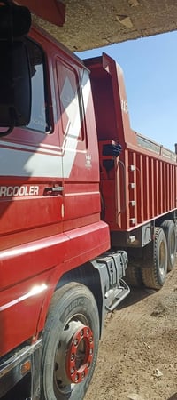 كلاب للبيع اسكانيه 113 موديل 95 تفاصيل اتصال ع رقم 07507601674