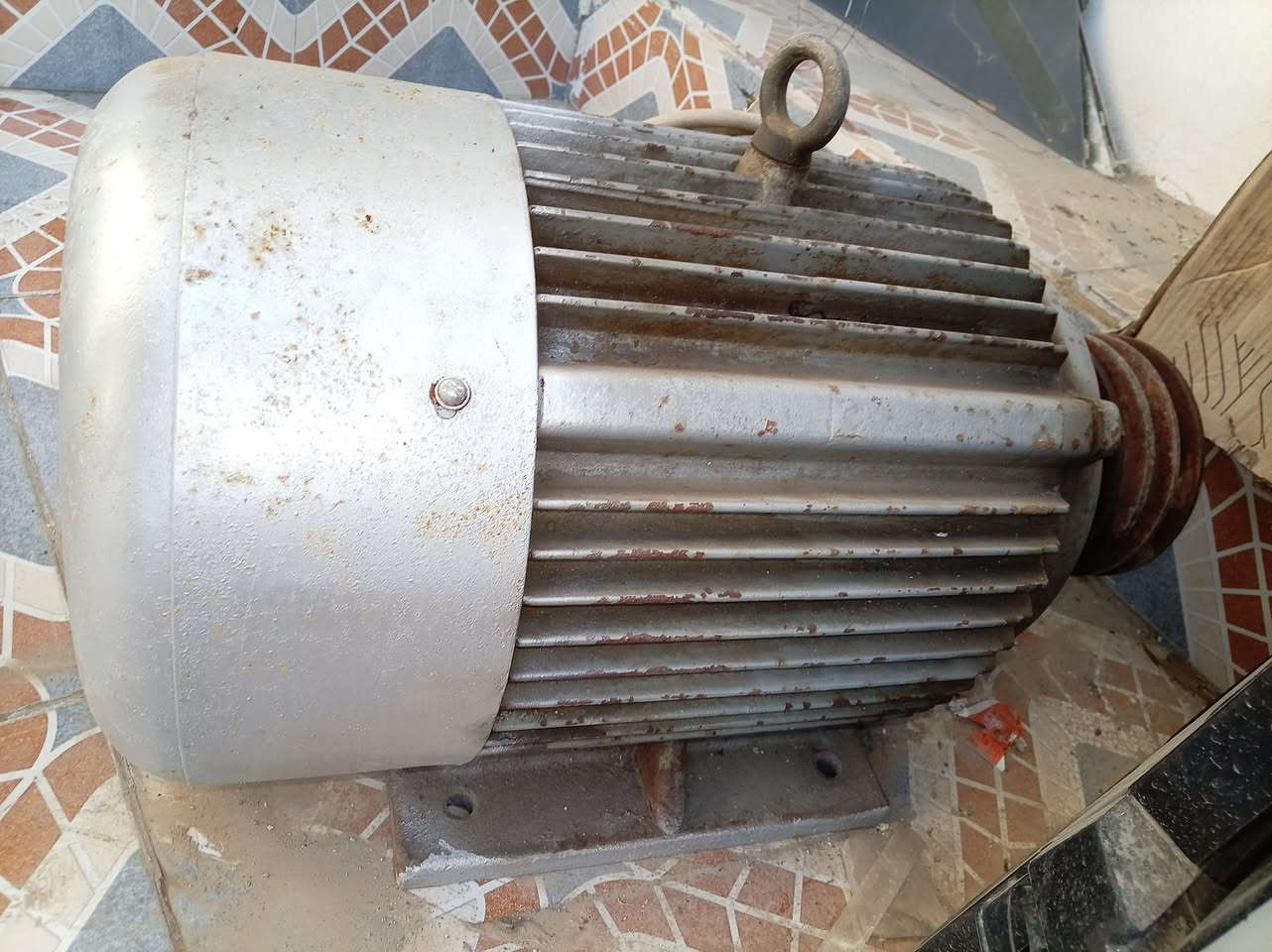 ماطور ثري فيز
20حصان
شغال
شرط الفحص
مال مؤسسة (اصلي)
السعر 10اوراق (ميلون ونص)
***********
