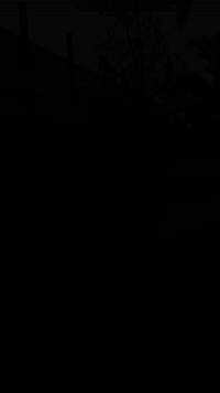 سلام عليكم بايسكل لبيع لسعر ب160نضيف شخط ما بي سياحي باله مكاني لبصره ابو لخ***********
