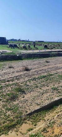 عائلة للغنم • سكن بيت غرفتين • قضاء مخمور