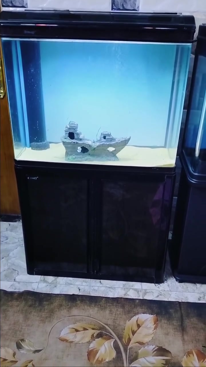 تصفية احواض


**إذا كنت صاحب هذا الإعلان وتريد حذفه لأي سبب، رجاءا أرسل رسالة إلى الدعم الفني**