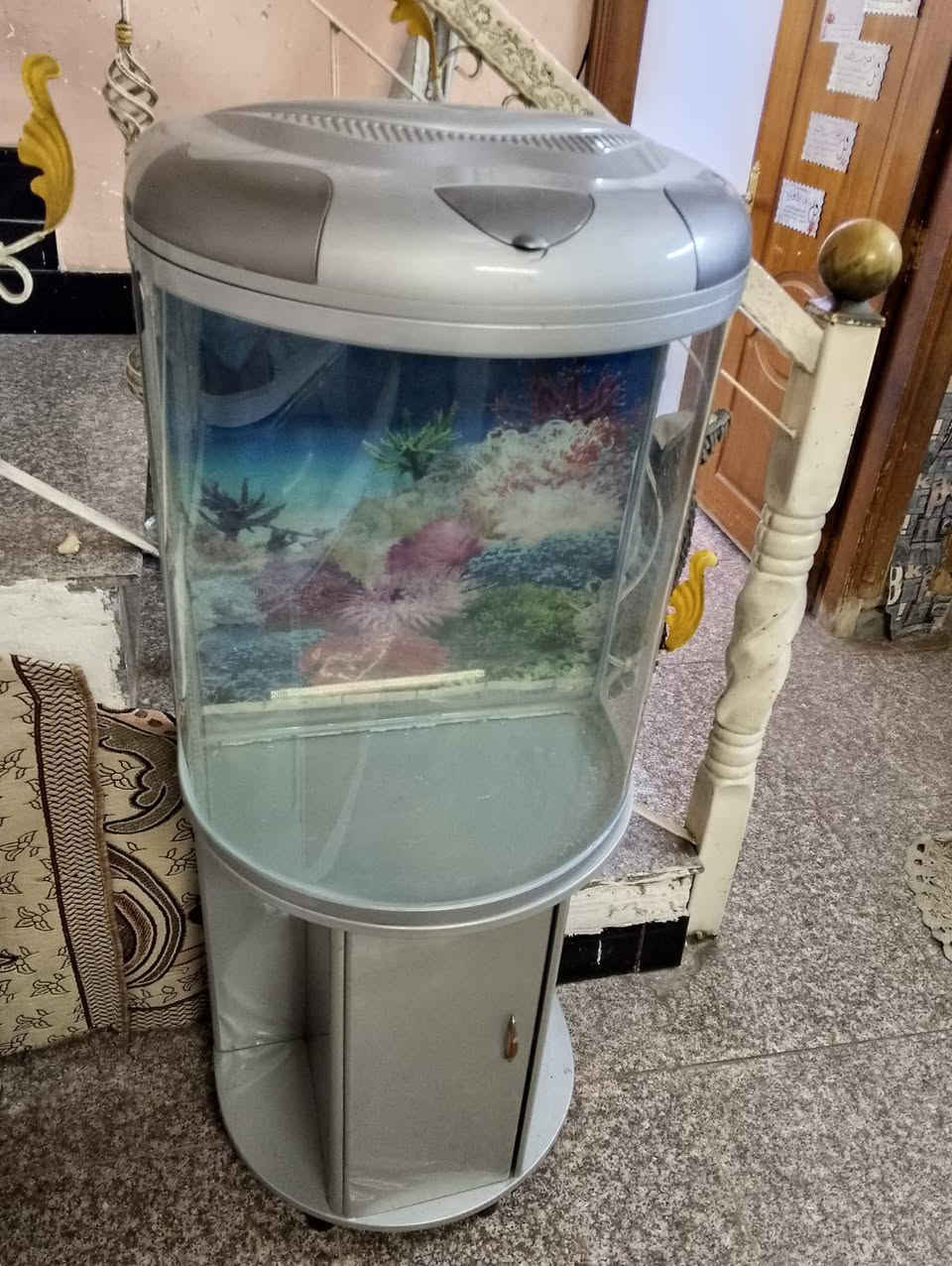 حوض سمك نظيف جدا لسعر مع التوصيل 120بي مجال لشراي


**إذا كنت صاحب هذا الإعلان وتريد حذفه لأي سبب، رجاءا أرسل رسالة إلى الدعم الفني**