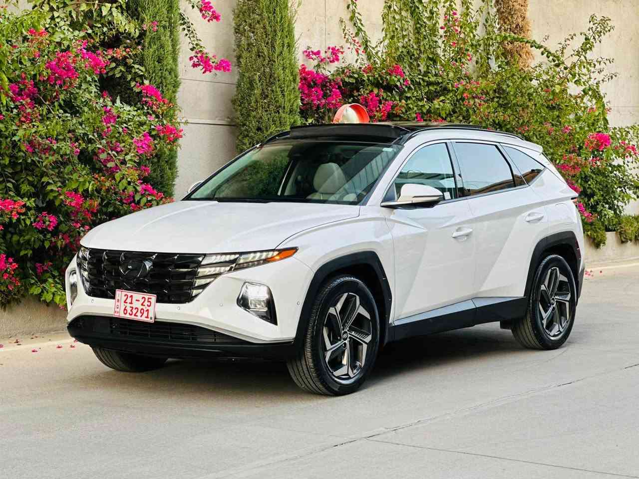 نیسان ئالتیما مواسفات 2023S
ژمارە سلێمانی و تازە رەقەم کراوە
جاملغ لای سەکن لەگەڵ بۆنیت بویاغ.
ڕادێتەر و بەرد و ڕادار و بەوامبە بیلادی و مەزبۆت، گێر و مەکینە هەموو شتی بەشەرت
ئێرباگ سوکان و یەک شان تەقیوە.
رەقەم و سەنەوەی تا 2031 تازەیە و تەحویل و غەرامە بەشەرت
سعر 150و مەجال
شوێن سلێمانی
تەلەفۆن :***********
واتسئاب مەجوود السليمانية, العراق
