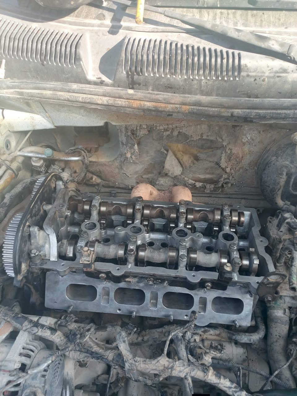 فيتريه سيد مرتضى
لتجفيت كافة أنواع السيارات 
بانزيخانة الشموس مجاور العيساوي ابو سيراميك 
*********** 
تم تبديل كازكت شيري A3تبديل ولفات ولاستيك ولف مع غسل وكراين
