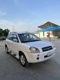 توسان • ٢٠١٠ • لوحة ٢٠٣٠