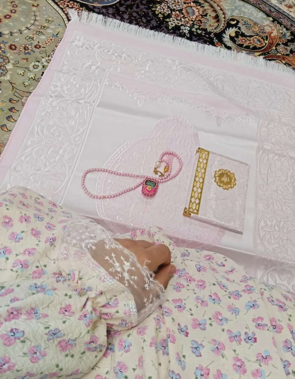 هەموو بابەتە شەرعیەکان. لامان بەردەستەواتساپ***********
