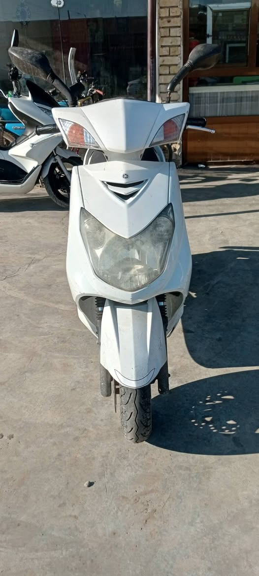 سلام عليكم سكنس فحل نوزل خطين نضيفه مكفوله اوراق موجوده مكان الحسينيه رقم *********** السعر 750 وبيه مجال حك الجيه
