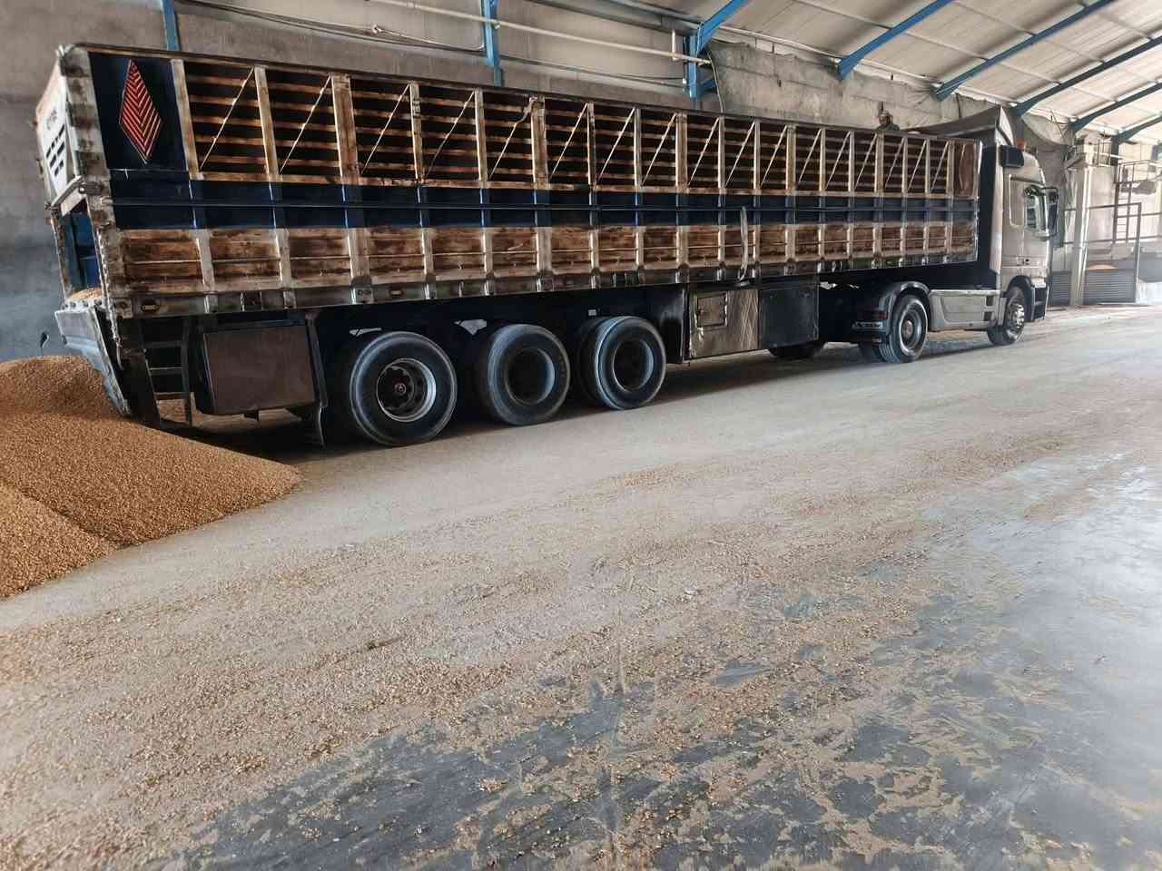 سلام عليكم اكتروز للبيع 
الموديل 98
الحجم 46
سنويتها بسمي 
عربانه حداديه 
3 دناكير 
دناكيرها 14
شاصي 14
الارتفاع 185
الطول 12/60 
قماره شاصي مكينه كفاله          العنوان ناصريه 

الإتصال من الساعه 7صباحاً لساعه 10مساً 

رقم الهاتف ***********
